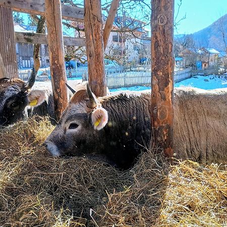 Вилла Koflhof Urlaub Auf Dem Bauernhof Альдино Экстерьер фото